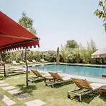 Le Greghe 4* לאזיסה