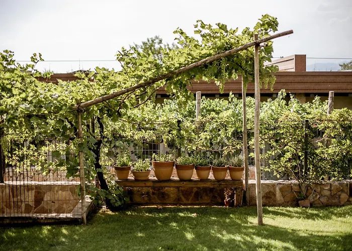 Affittacamere Le Greghe