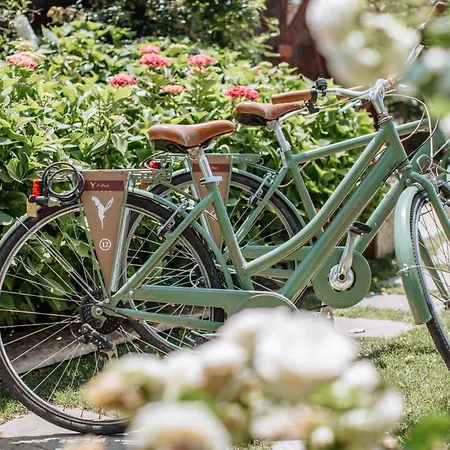 Le Greghe ゲストハウス